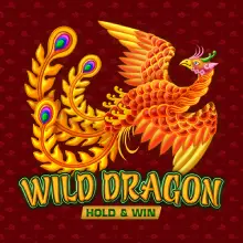 Wild Dragon HOLD&WIN