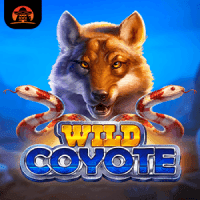 Wild Coyote