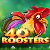 40 Roosters