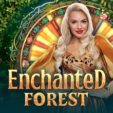 Enchanted Forest