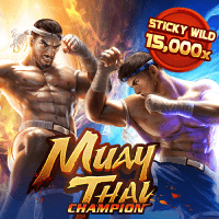 Muay Thai Champion