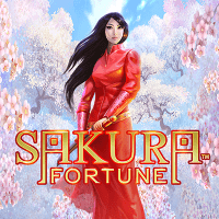 Sakura Fortune