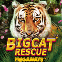 Big Cat Rescue Megaways