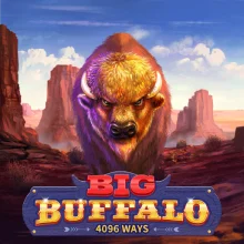 Big Buffalo