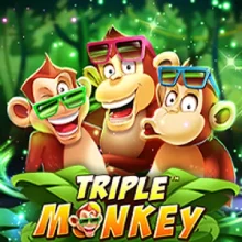 Triple Monkey