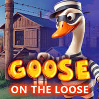 Goose on the loose