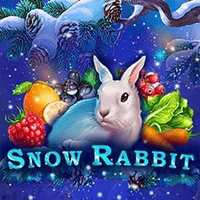 Snow Rabbit