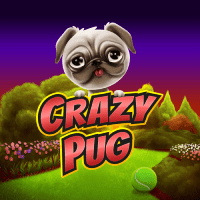 Crazy Pug