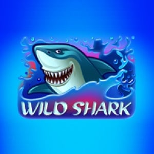 Wild Shark