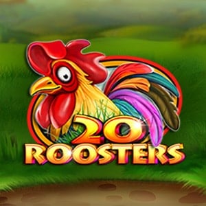 20 Roosters