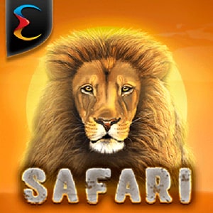 Safari