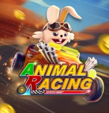 Animal Racing