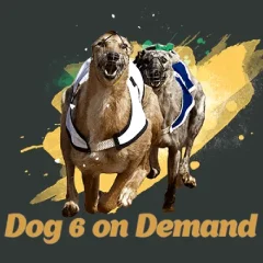 Dog 6 On Demand