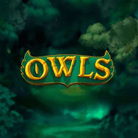 Owls