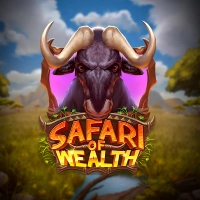 Safari of Wealth