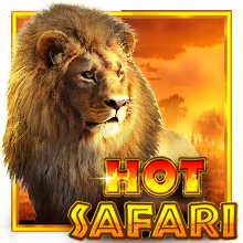 Hot Safari