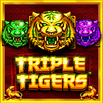 Triple Tigers