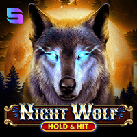 Night Wolf - Hold & Hit