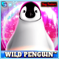 Wild Penguin