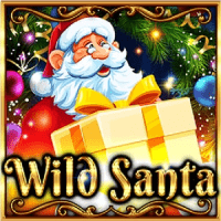 Wild Santa