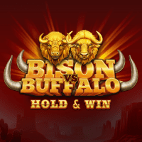 Bison vs Buffalo